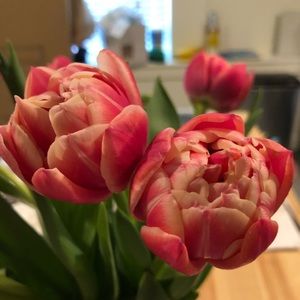 Meet your Posher, Tina